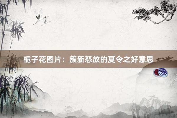 栀子花图片：簇新怒放的夏令之好意思