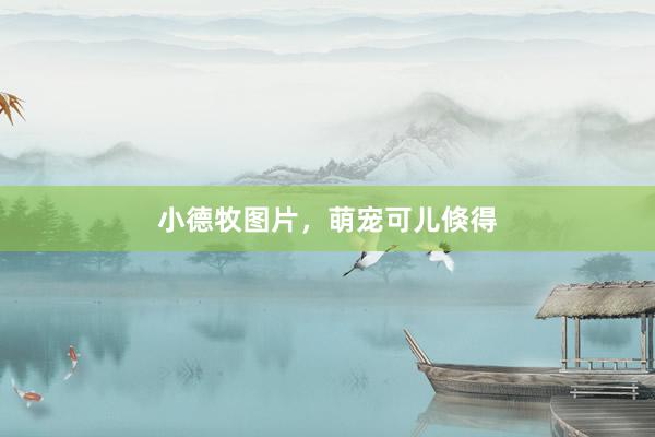 小德牧图片，萌宠可儿倏得